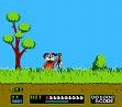 Duck Hunt